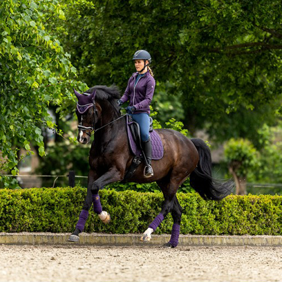 BR CAMILO Dressage Saddle Pad, Nightshade
