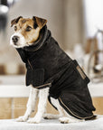 Kentucky Dog Coat Towel, Black