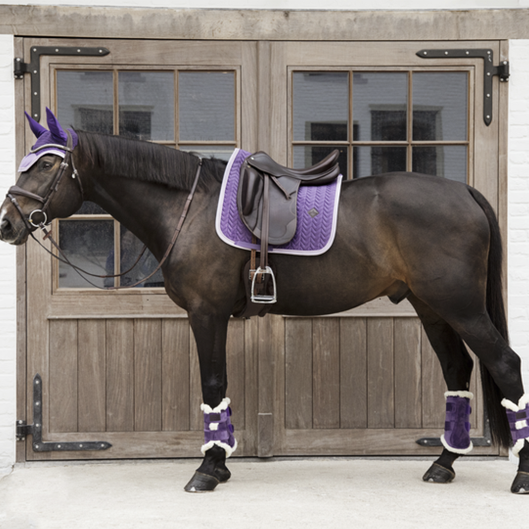 Kentucky Horsewear Brushing Boots Velvet Contrast, Royal Purple