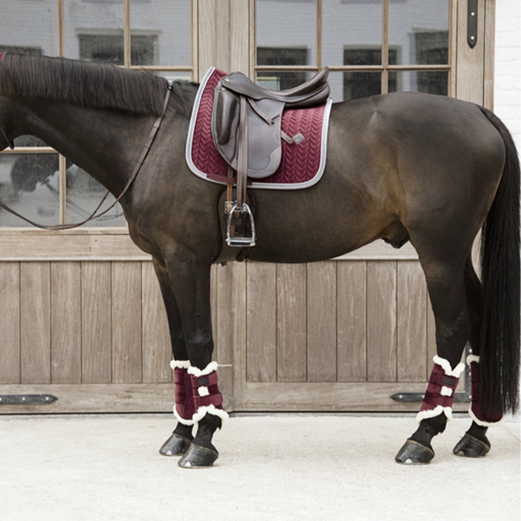 Kentucky Horsewear Brushing Boots Velvet Contrast, Bordeaux