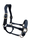 Lumiere Equestrian ALLEGRA Leather Halter, Black