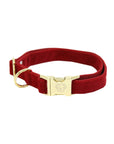 Kentucky Dog Collar Corduroy, Red