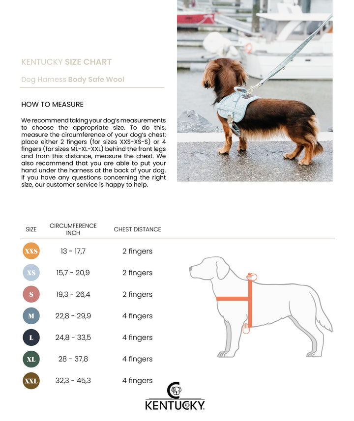 Kentucky Dog Harness Body Safe Wool, Gray