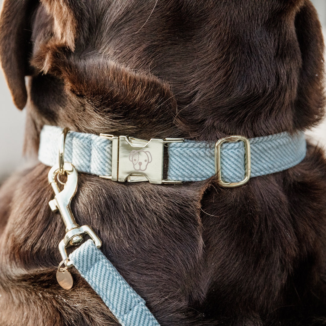 Kentucky Dog Collar Wool, Light Blue