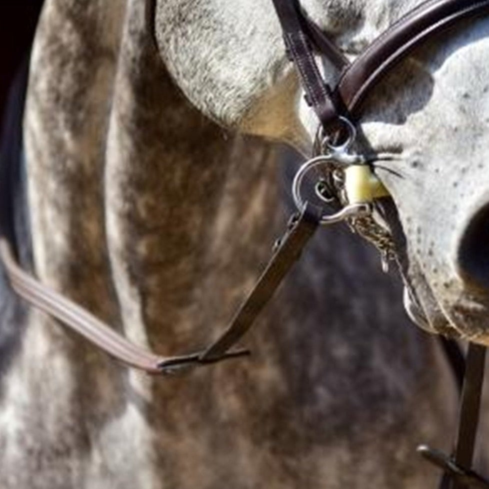 ThinLine English Reins 60"-stud end-with hand stops