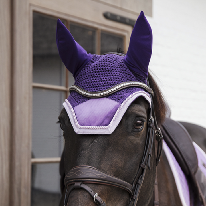 Kentucky Horsewear Fly Veil Wellington Velvet Contrast, Royal Purple