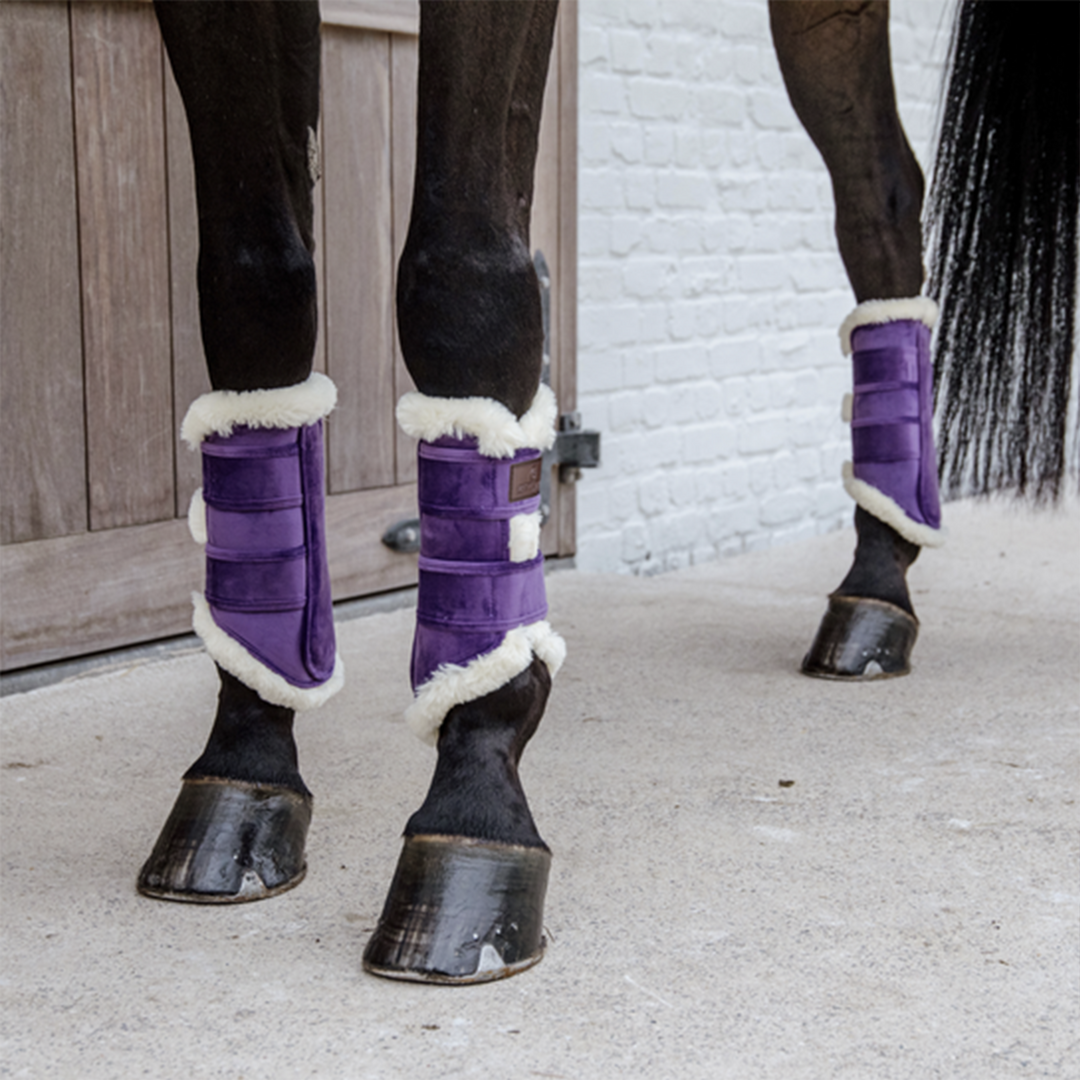 Kentucky Horsewear Brushing Boots Velvet Contrast, Royal Purple