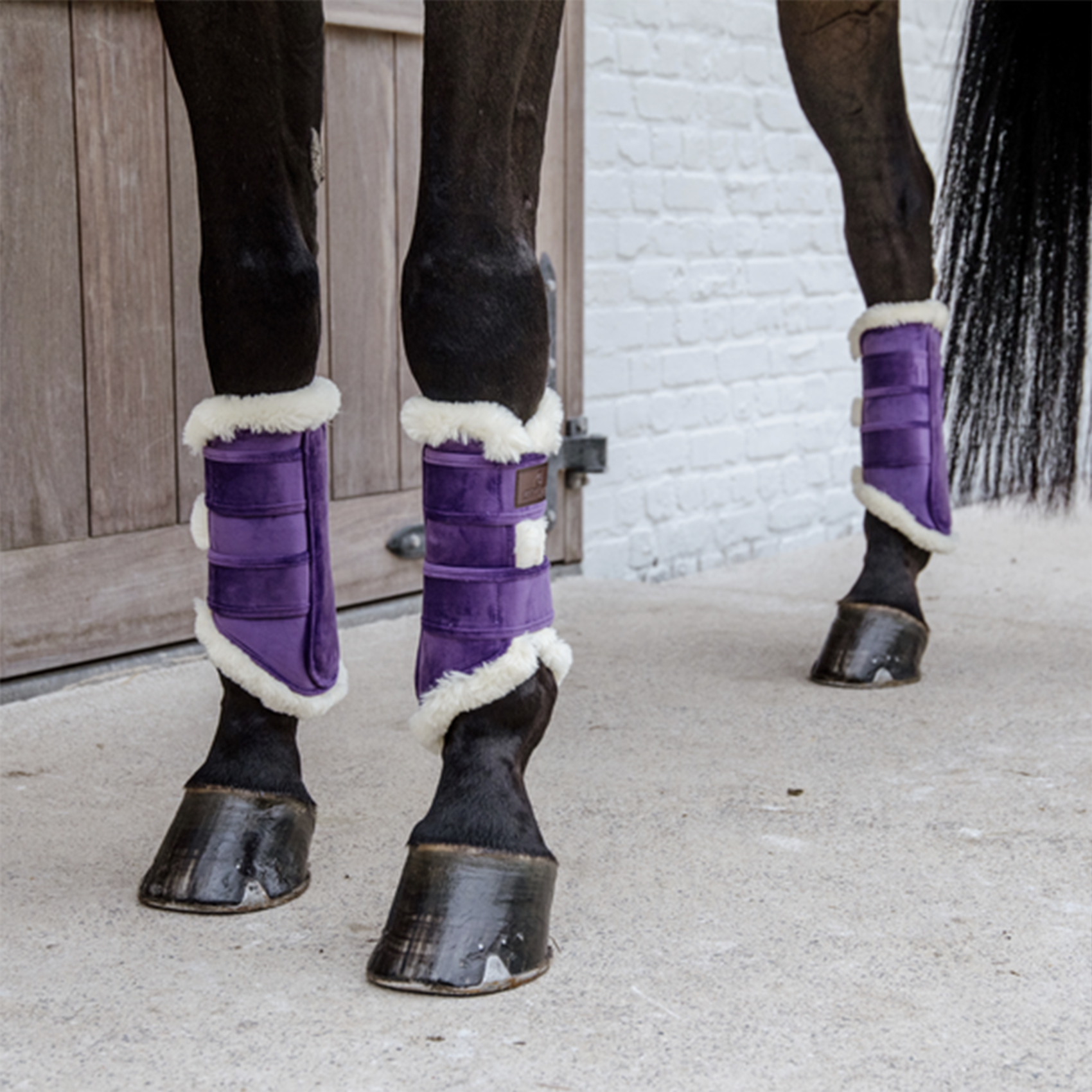 Kentucky Horsewear Brushing Boots Velvet Contrast, Royal Purple