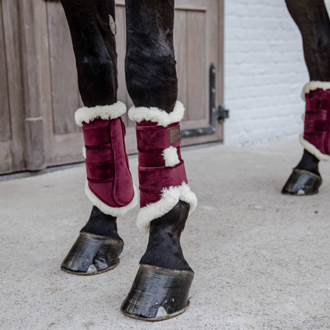 Kentucky Horsewear Brushing Boots Velvet Contrast, Bordeaux