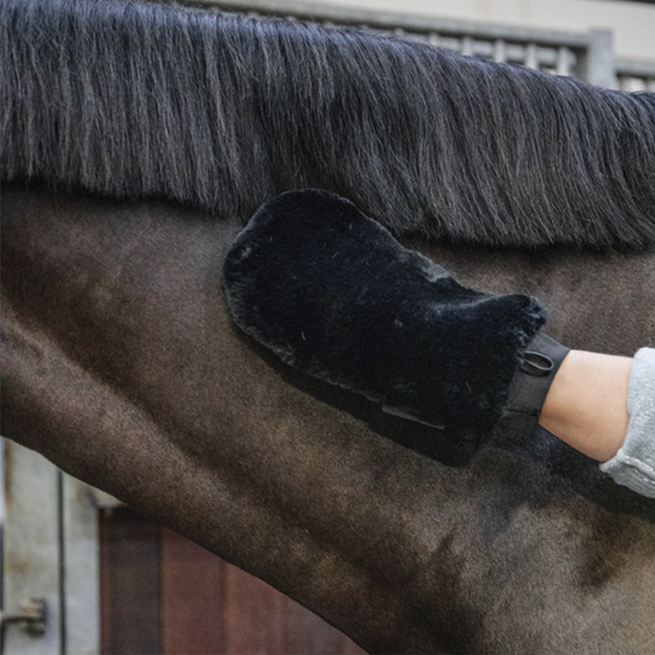 Kentucky Horsewear Grooming Glove, Black