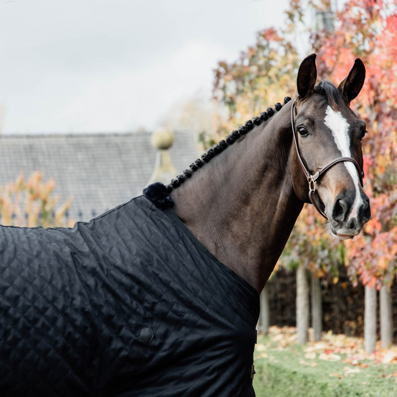 Kentucky Horsewear Stable Rug, Black