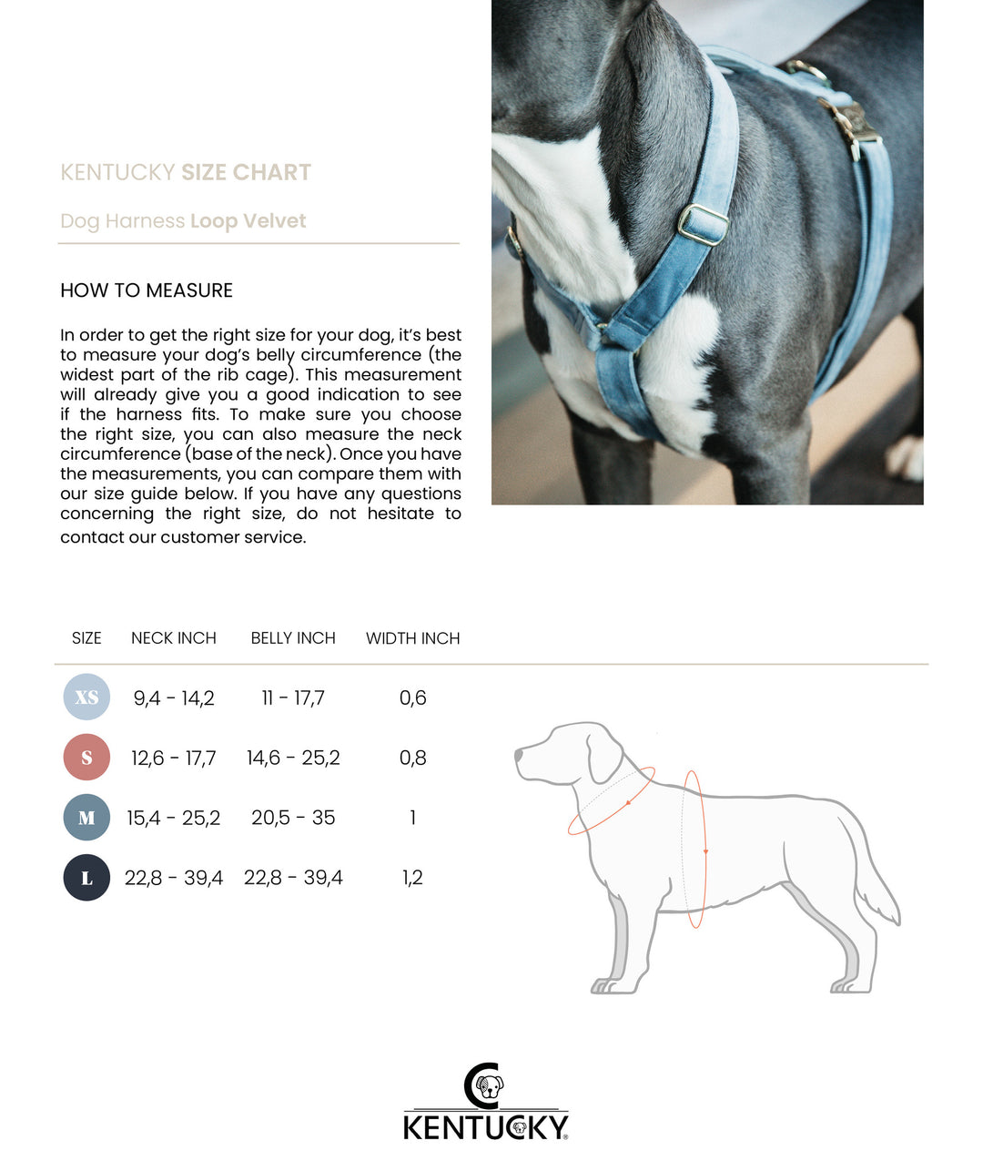 Kentucky Dog Harness Loop Velvet, Emerald