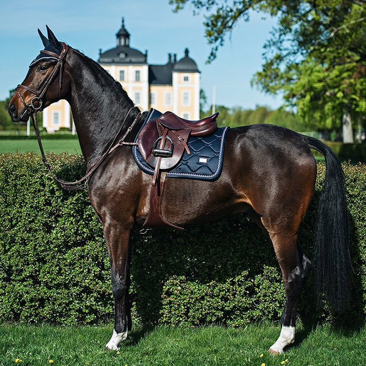 Equestrian Stockholm Ear Net Midnight Blue