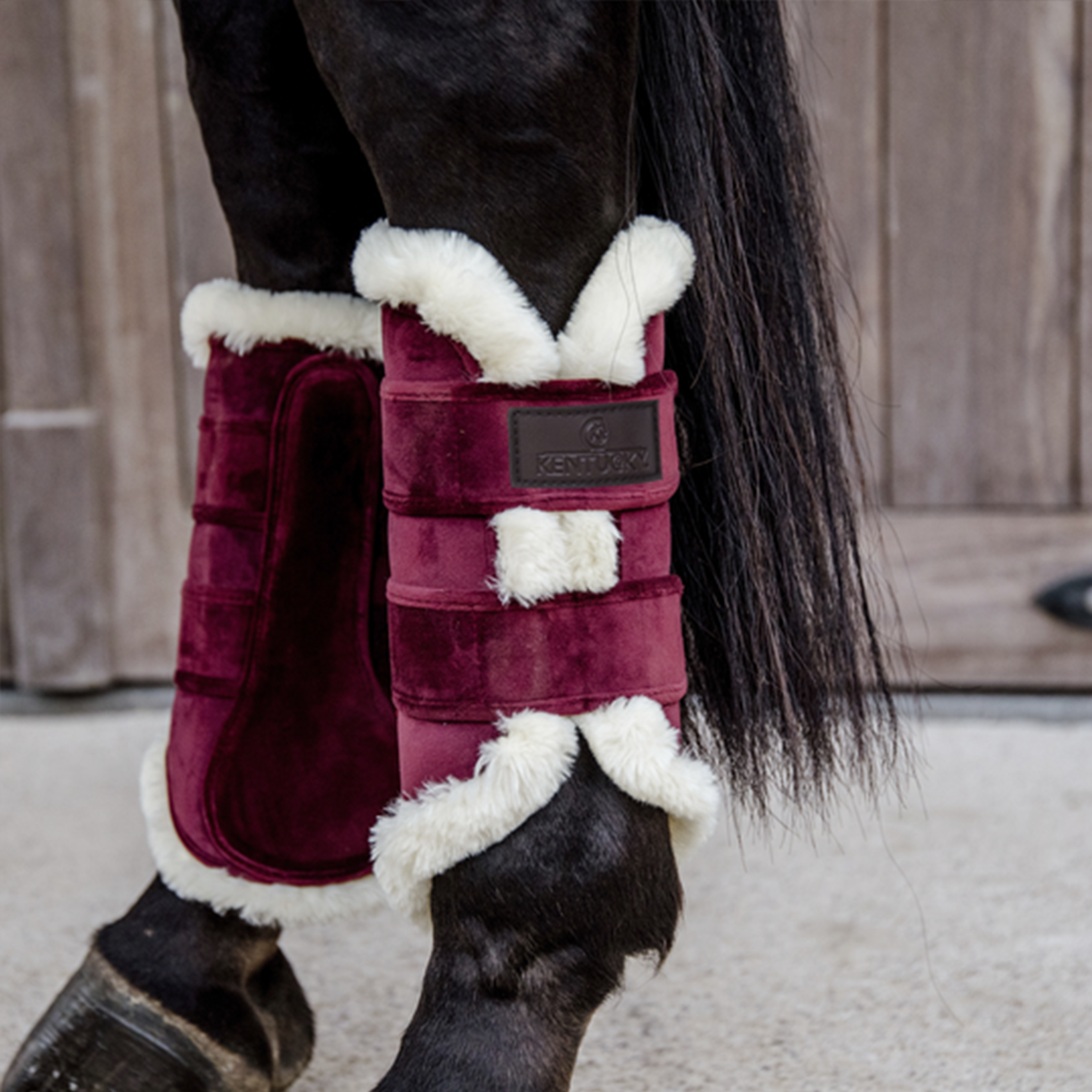 Kentucky Horsewear Brushing Boots Velvet Contrast, Bordeaux