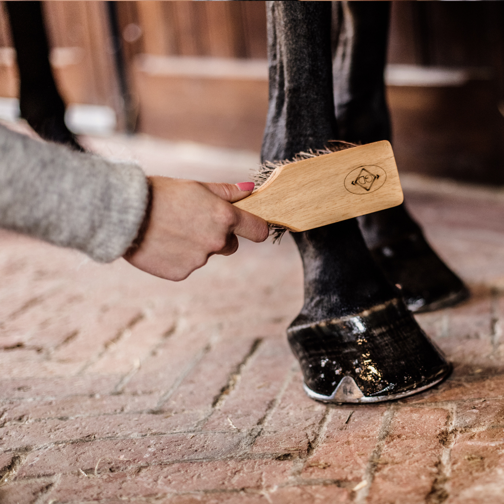 Kentucky Horsewear Hoof Brush, Brown