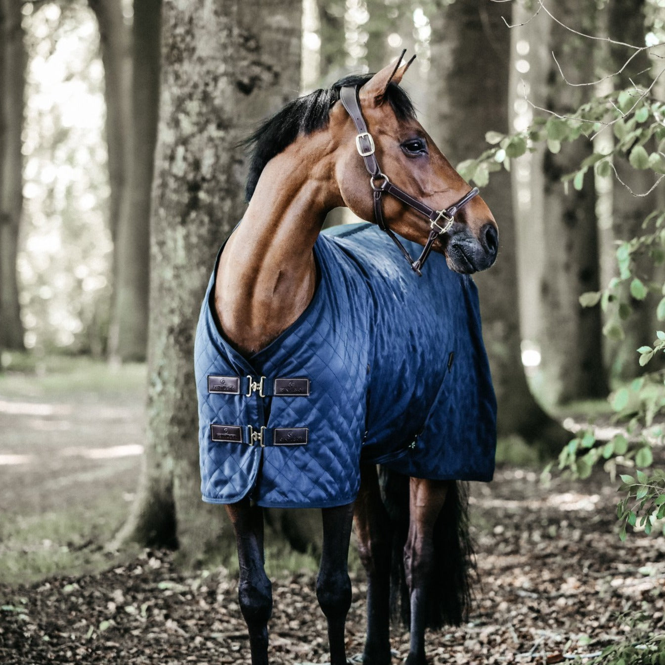 Kentucky Horsewear Stable Rug, Navy