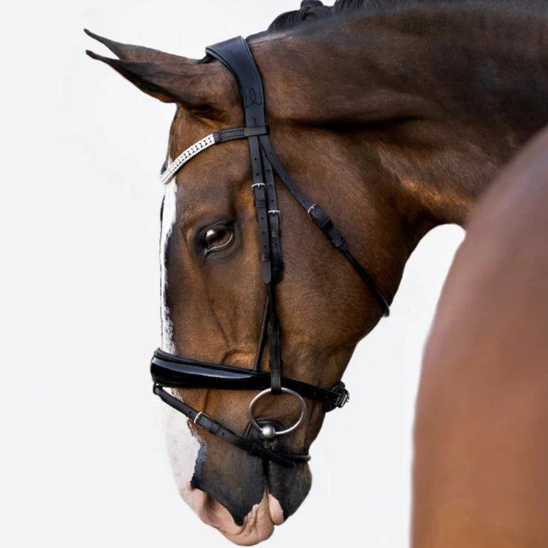 Lumiere Equestrian AMIE Premium Leather Rolled Bridle, Black with Reins