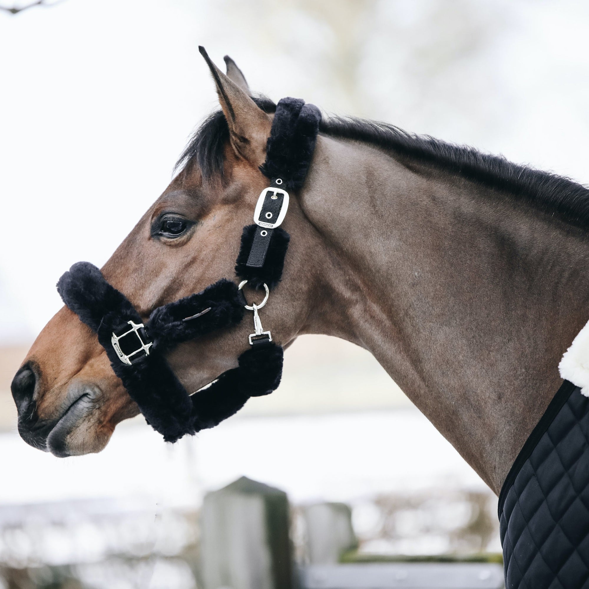 Kentucky Horsewear Sheepskin Shipping Halter, Black