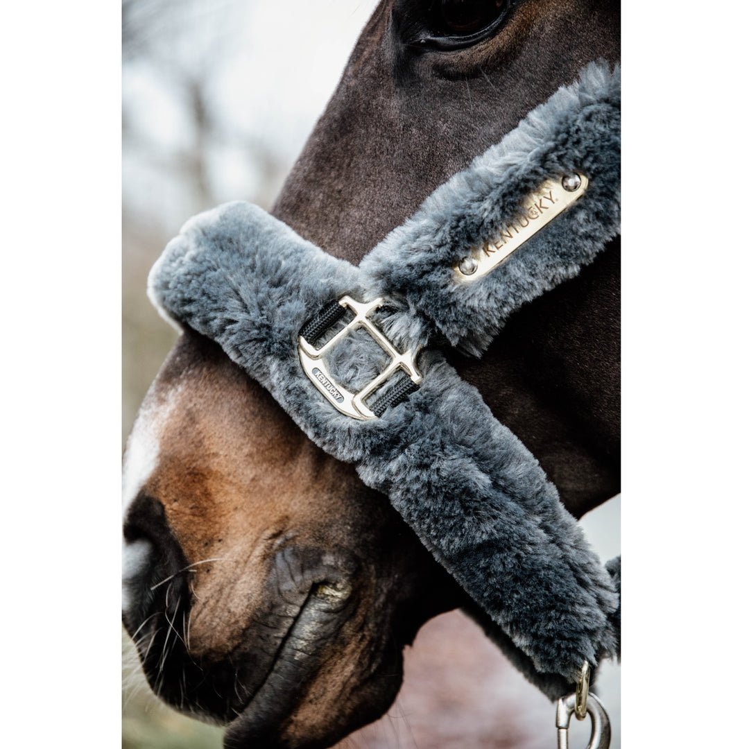 Kentucky Horsewear Sheepskin Shipping Halter, Gray