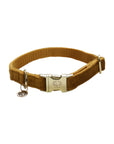 Kentucky Dog Collar Velvet, Mustard