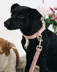 Kentucky Dog Collar Velvet, Old Rose