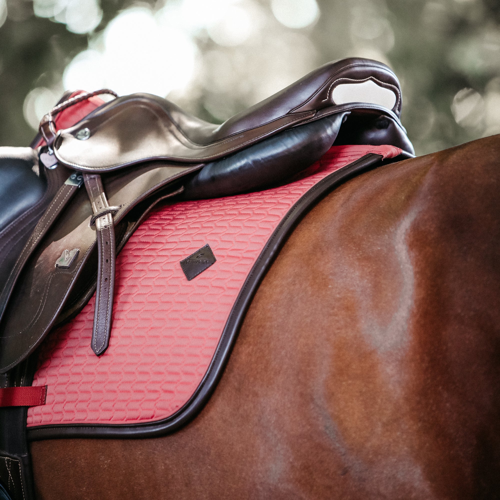 Kentucky Horsewear Saddle Pad Leather Jumping Coral Edition