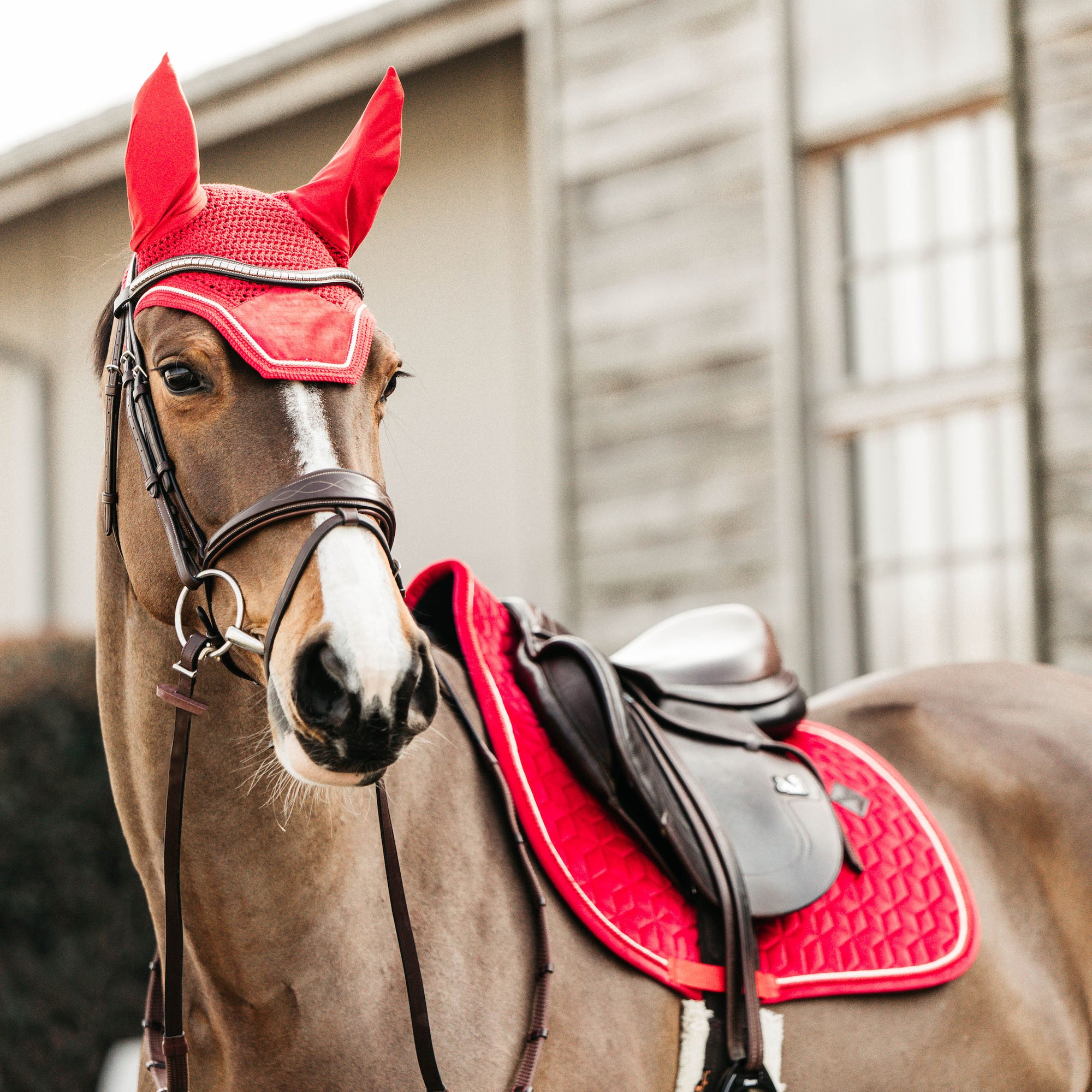 Kentucky Horsewear Saddle Pad Velvet Jumping Red Edition