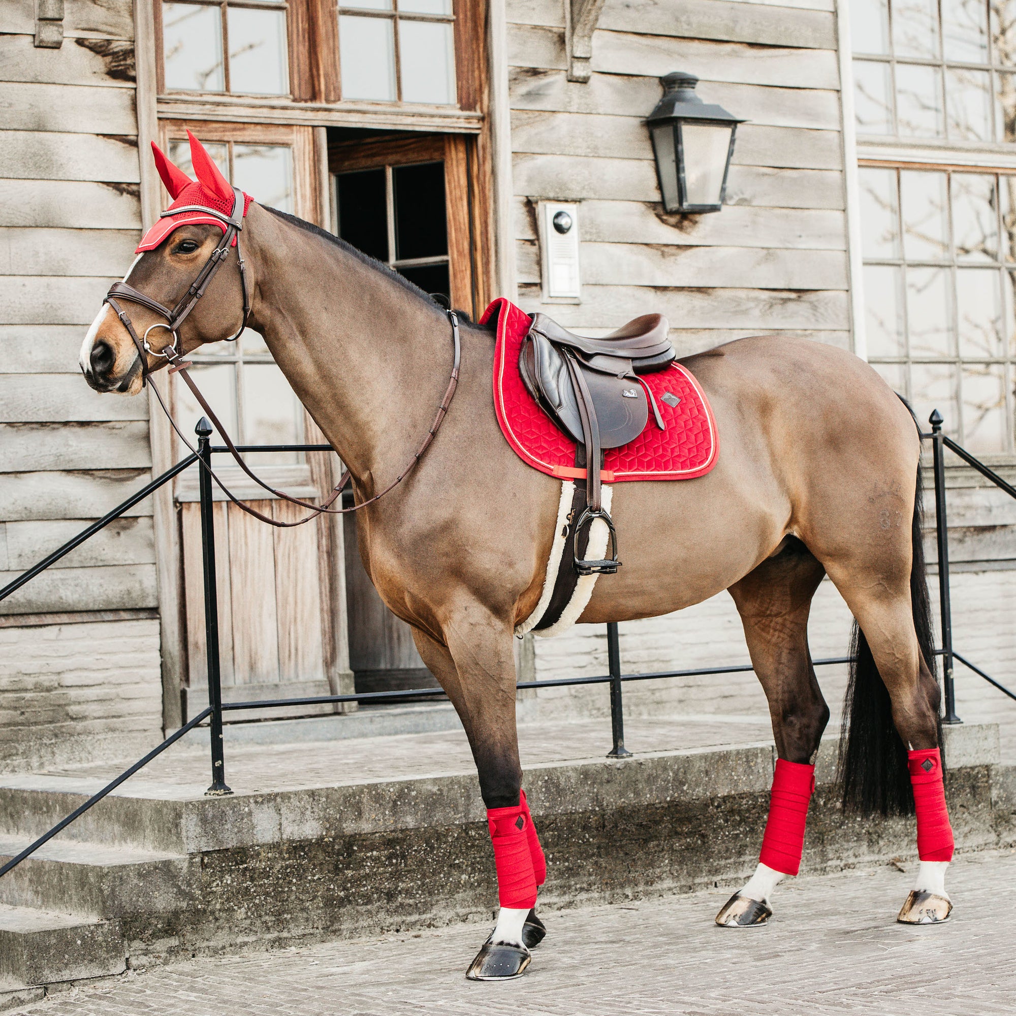 Kentucky Horsewear Saddle Pad Velvet Jumping Red Edition