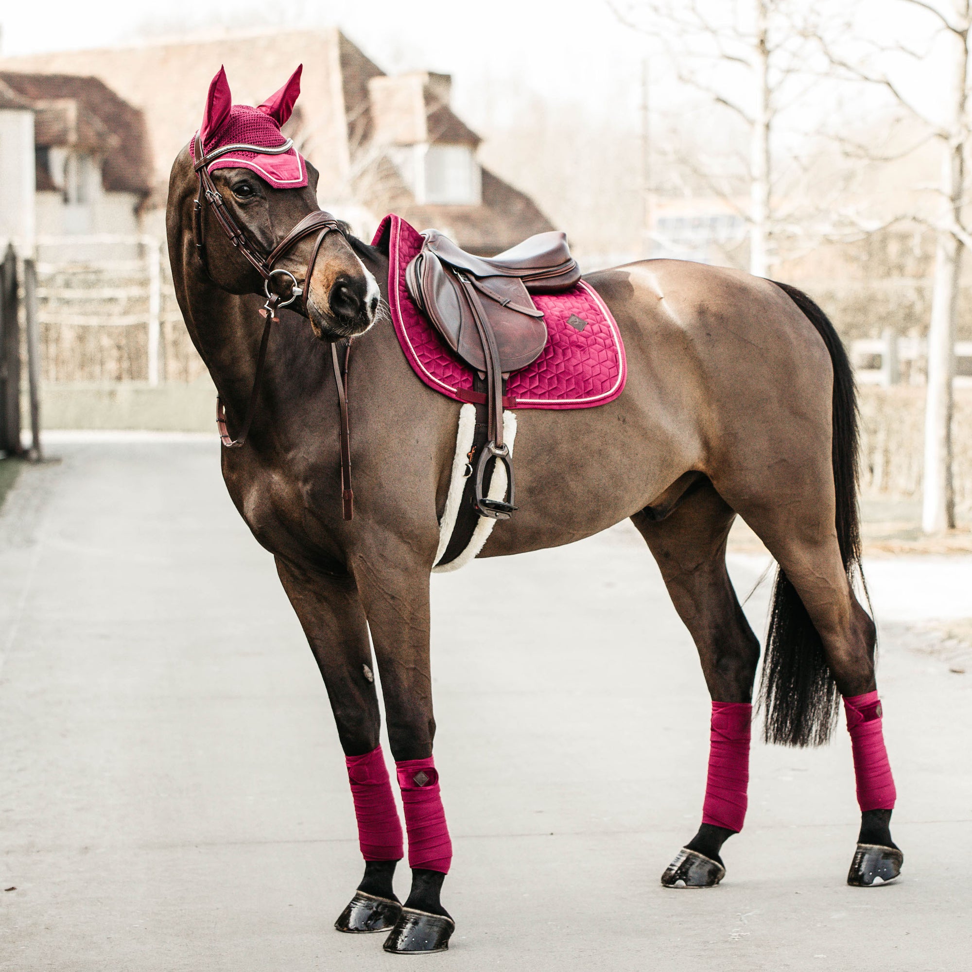 Kentucky Horsewear Saddle Pad Velvet Dressage Fuchsia Edition