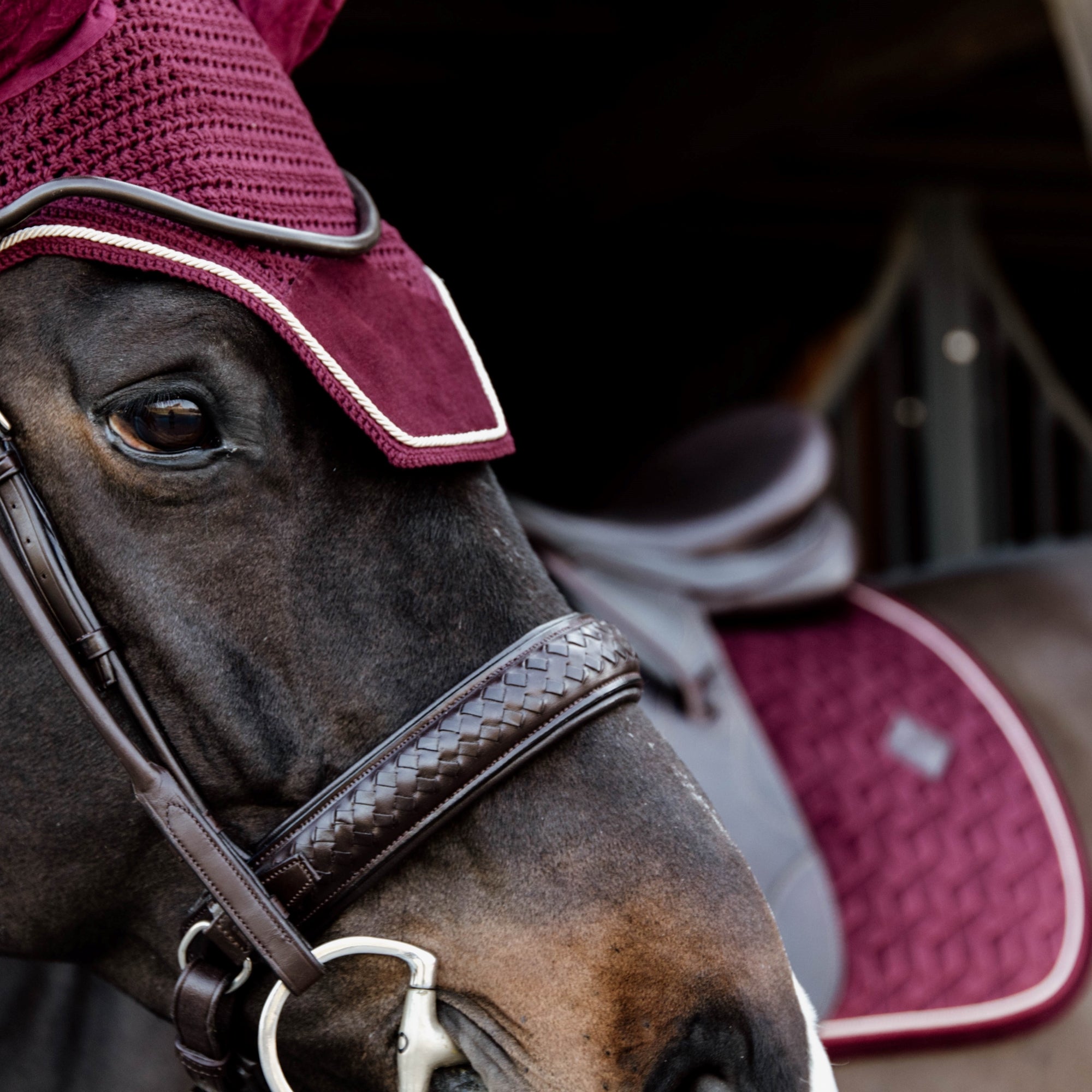 Kentucky Horsewear Saddle Pad Velvet Dressage Bordeaux Edition