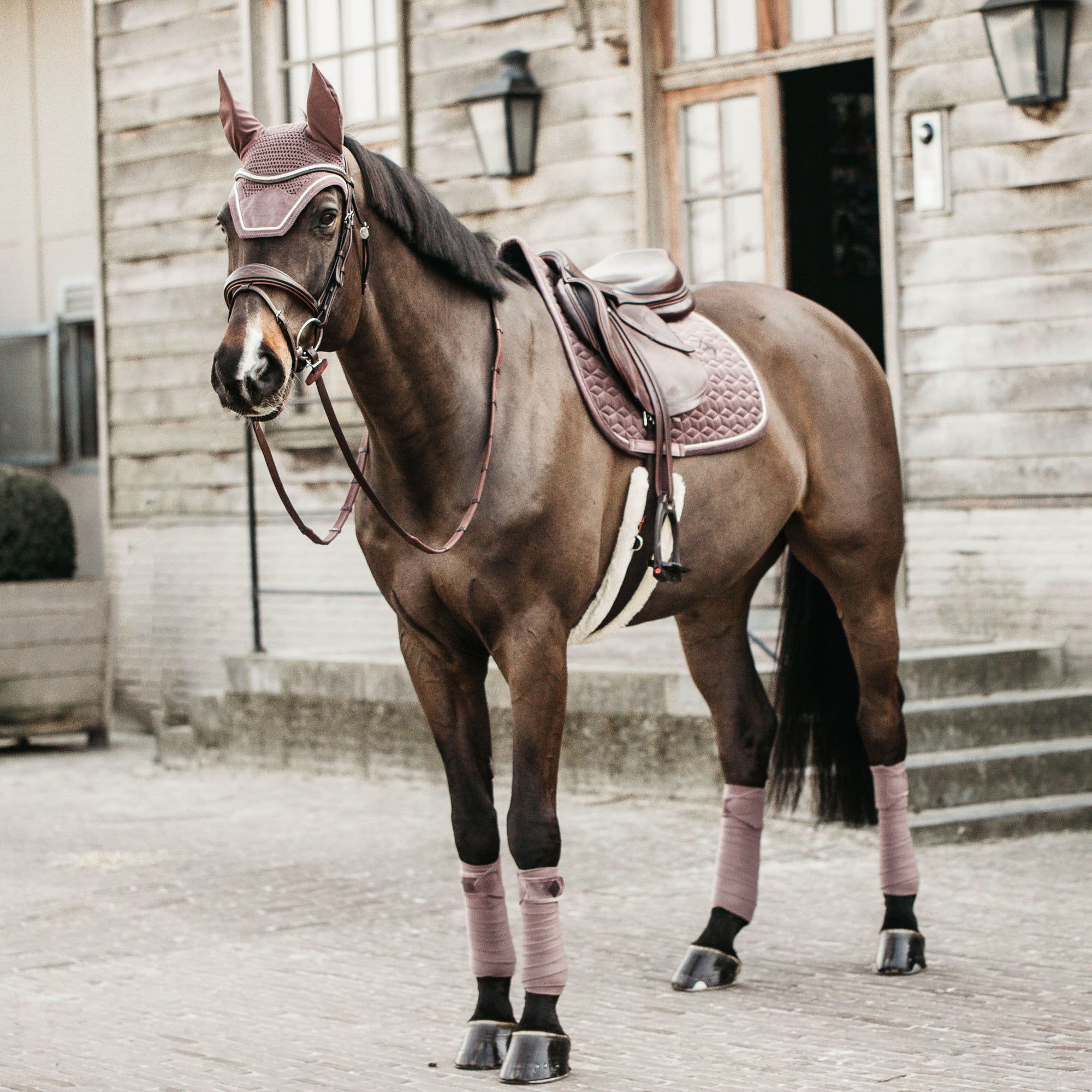 Kentucky Horsewear Saddle Pad Velvet Dressage, Light Purple