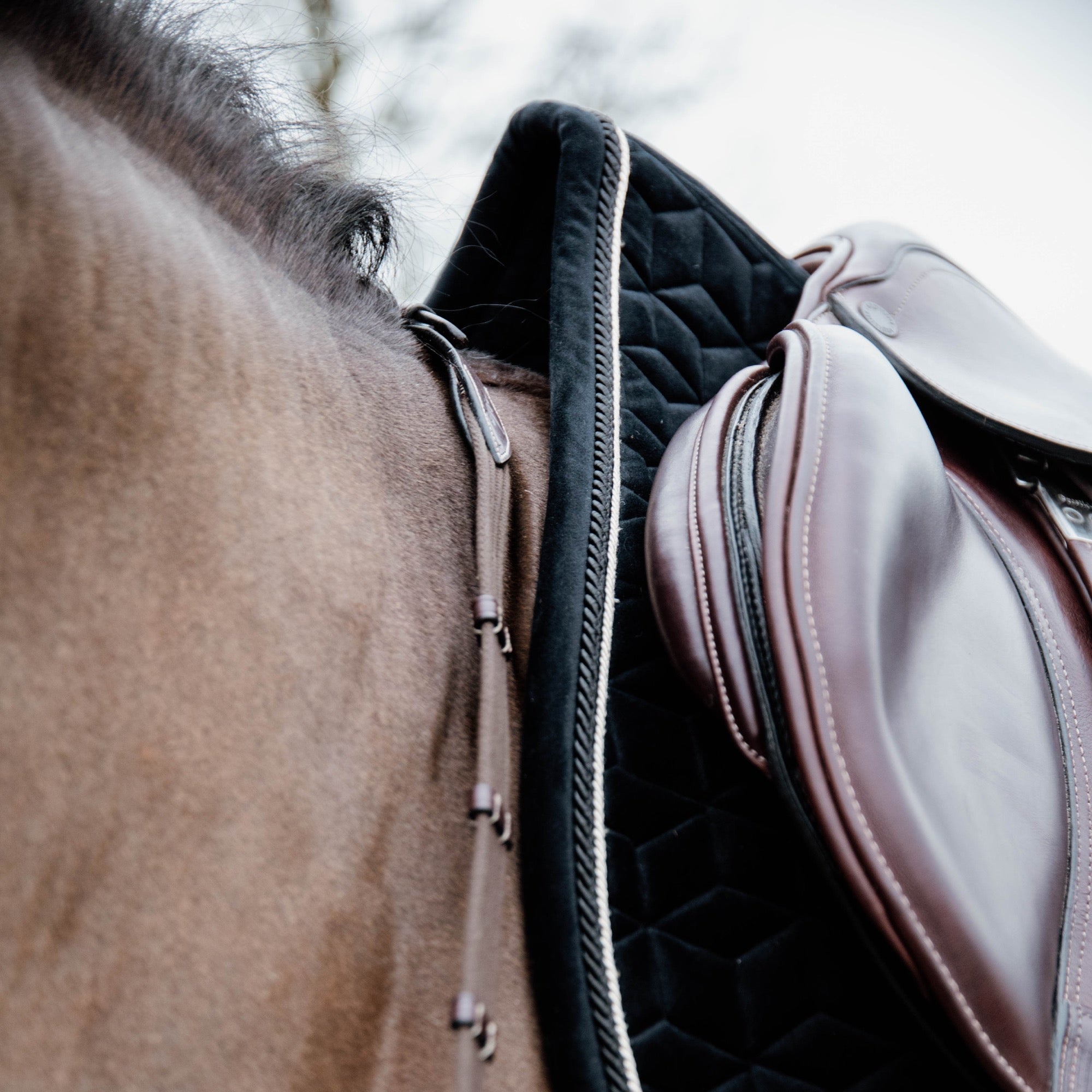 Kentucky Horsewear Saddle Pad Basic Velvet Jumping, Black