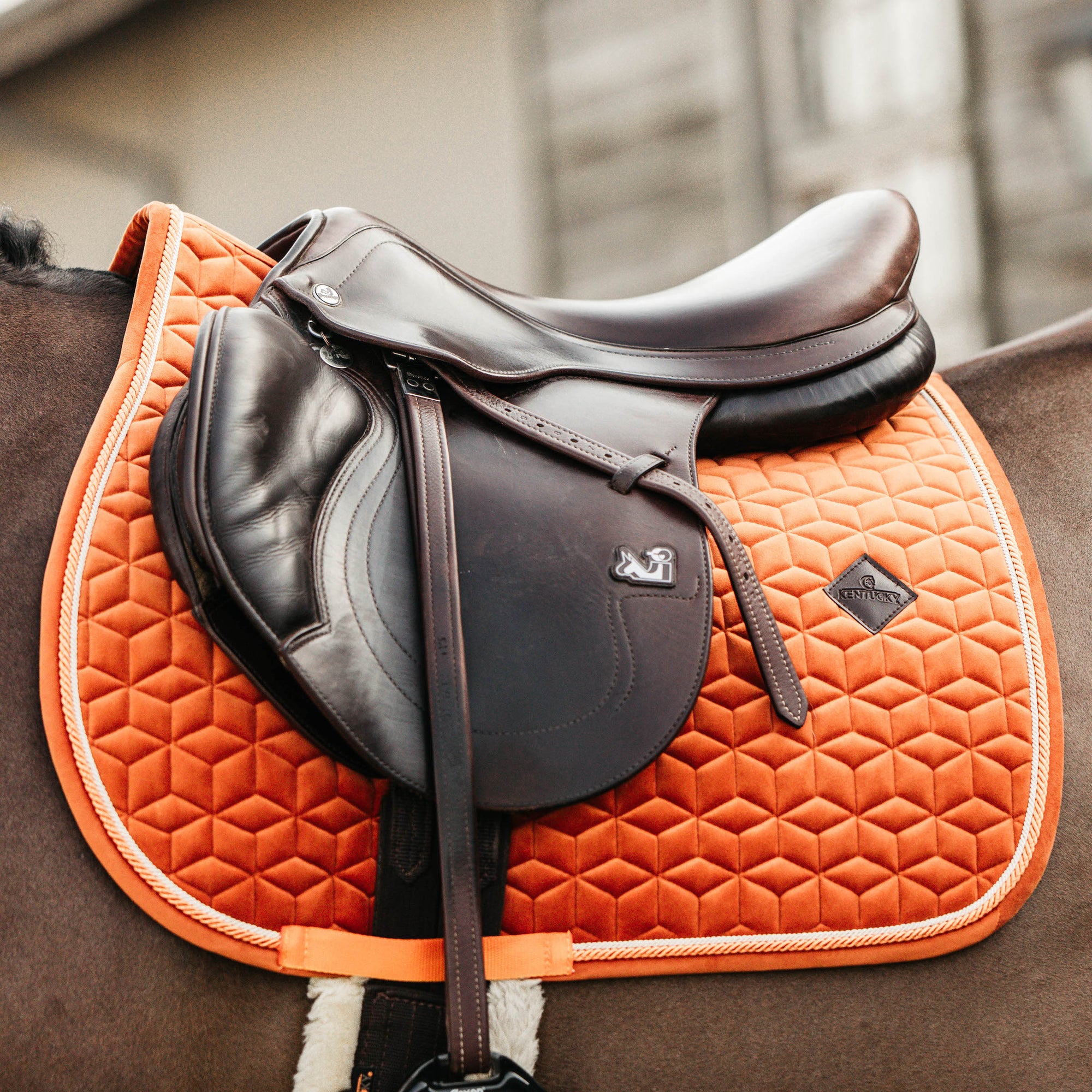 Kentucky Horsewear Saddle Pad Velvet Dressage Orange Edition