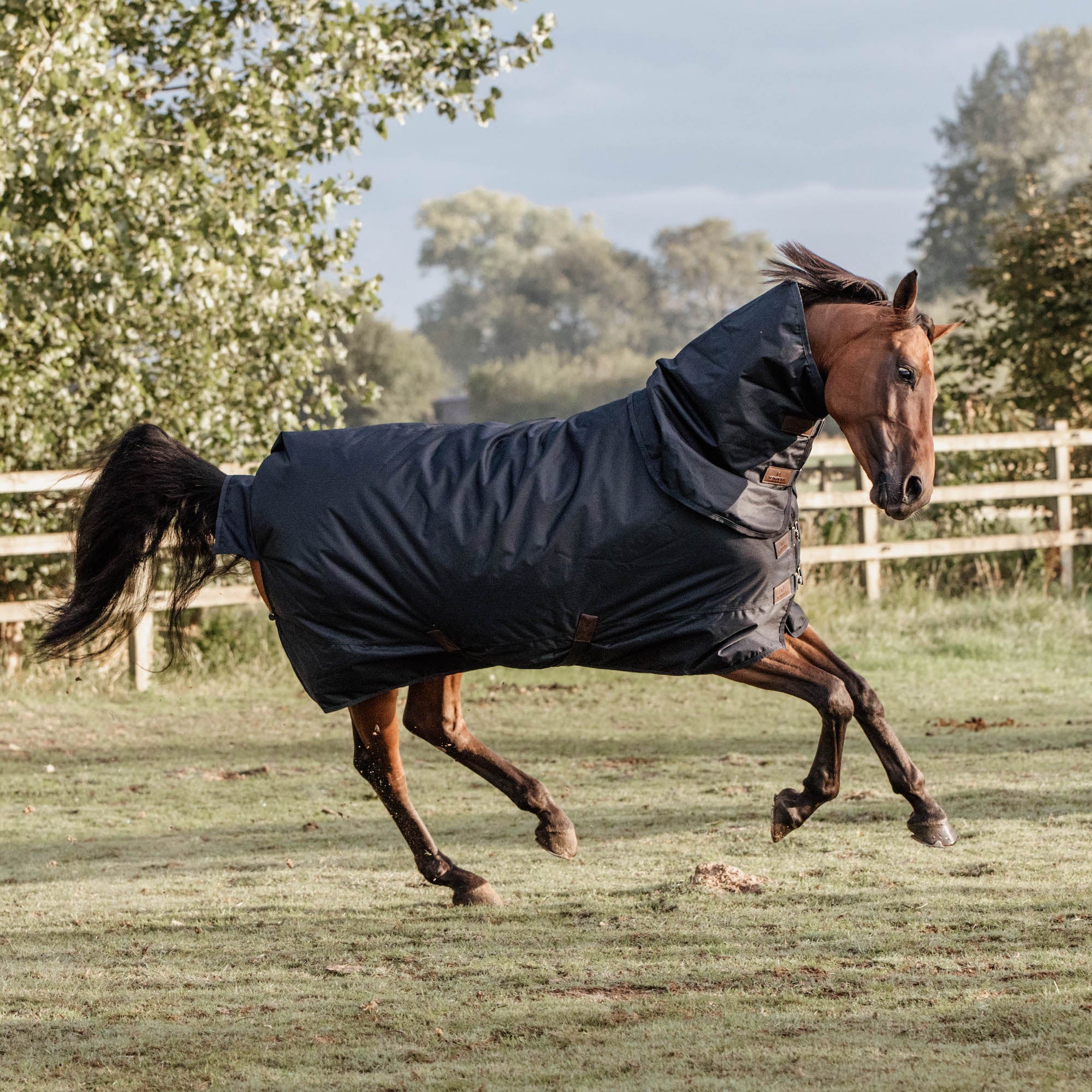 Waterproof Turnout Rugs Kentucky Horsewear Turnout Rug All Weather Waterproof Classic, Navy ...