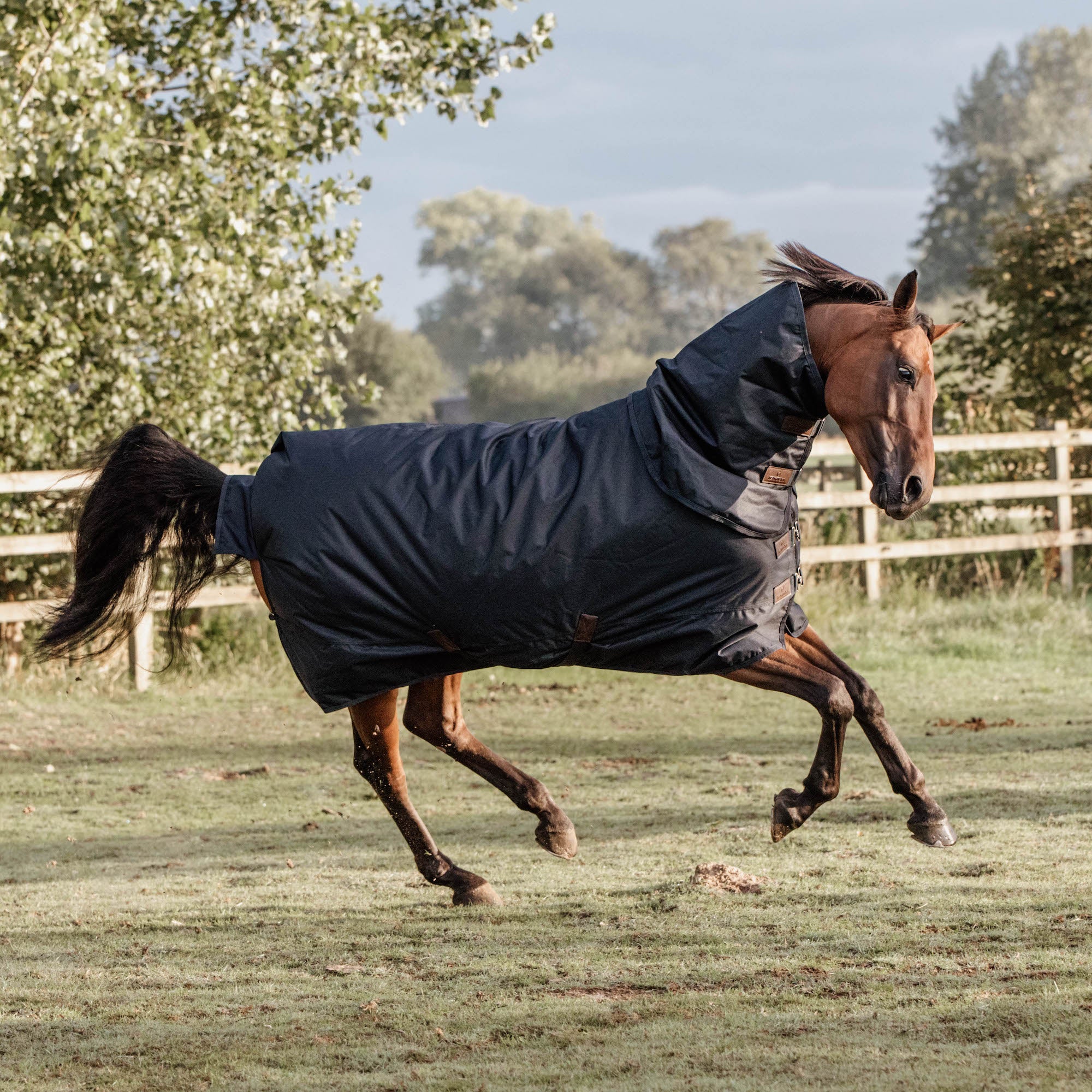 Kentucky Horsewear Turnout Rug All Weather Waterproof Classic, Navy