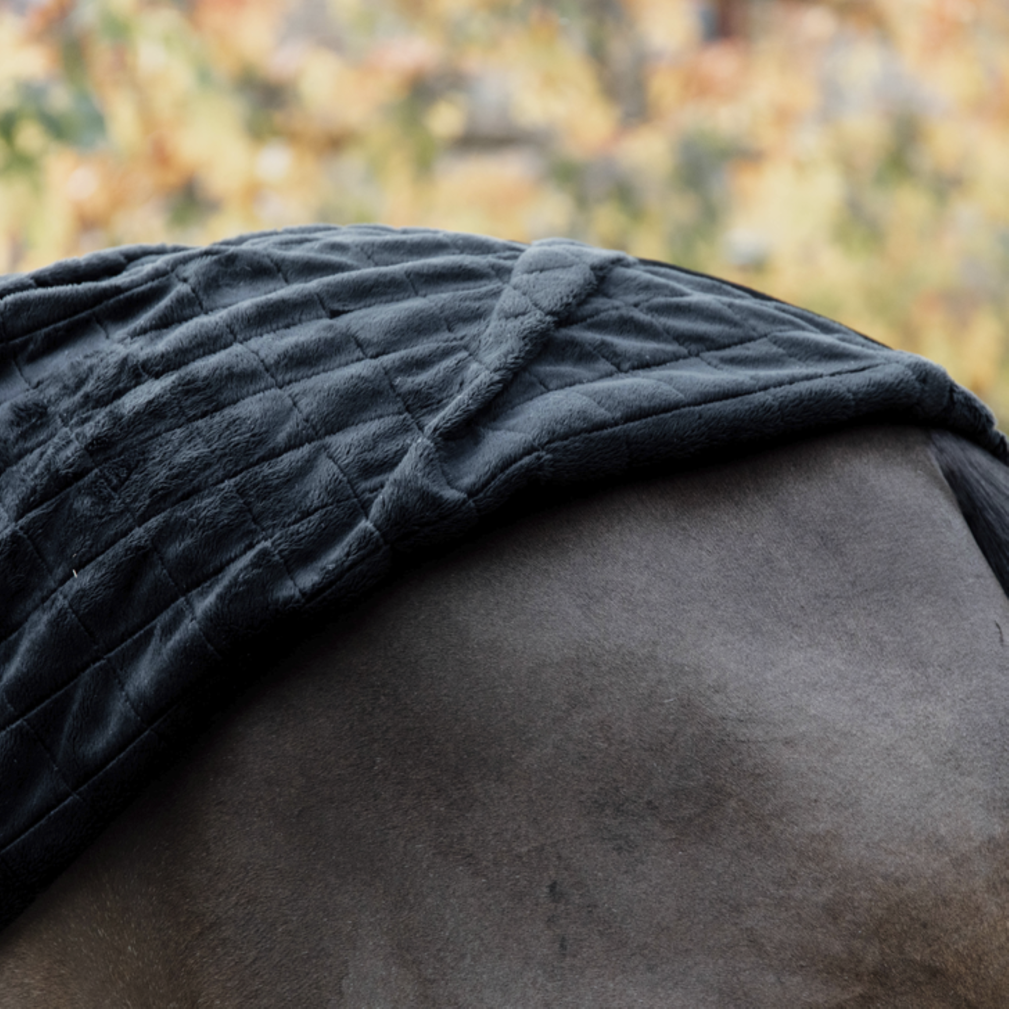 Kentucky Horsewear Stable Rug 0G, Black
