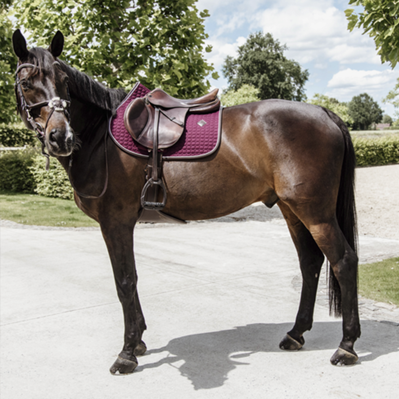 Kentucky Horsewear Jumping Saddle Pad Classic Leather, Bordeaux