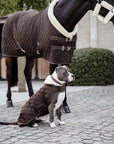 Kentucky Dog Coat, Brown