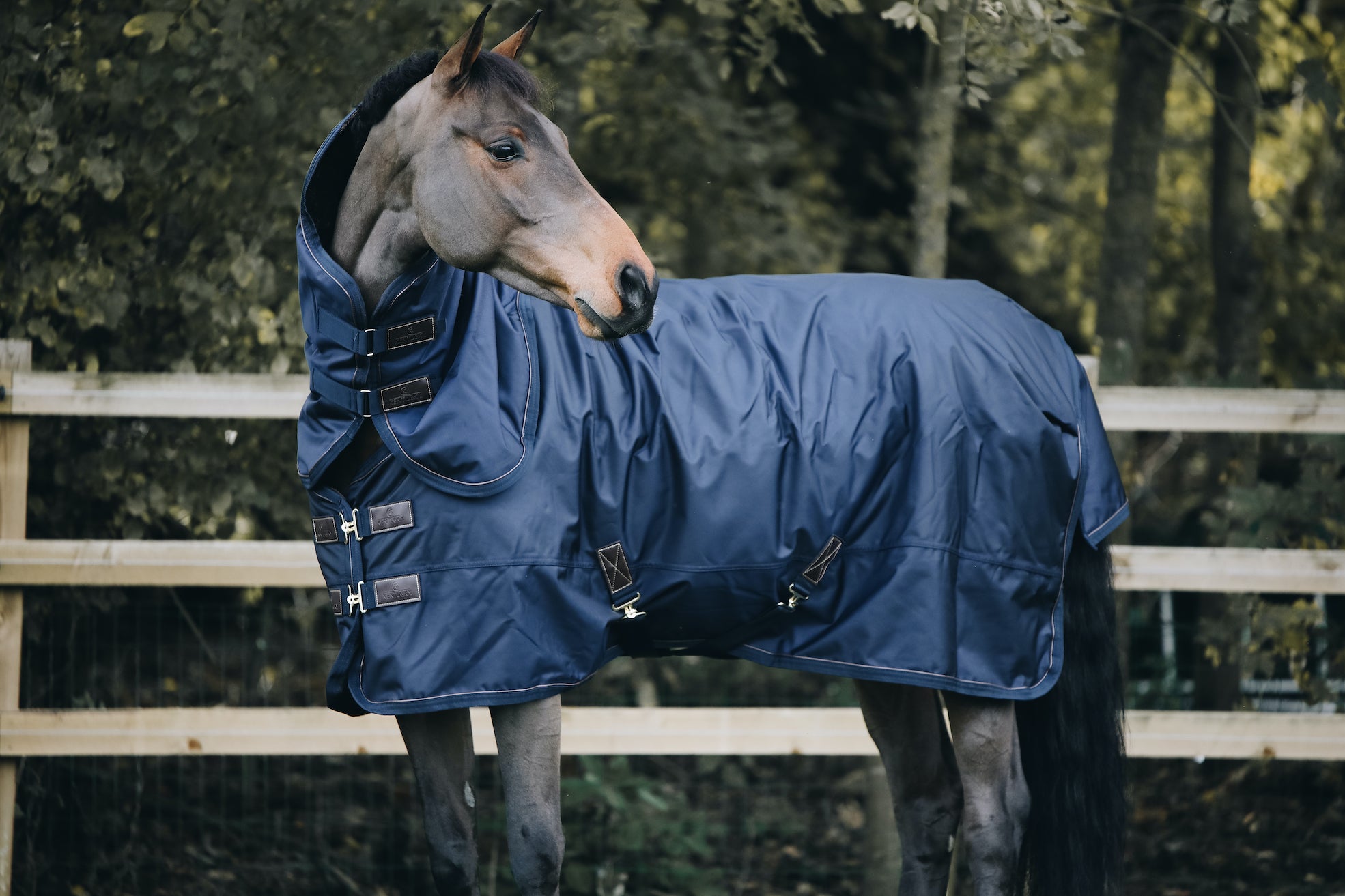 Kentucky Horsewear Turnout Rug All Weather Waterproof Pro 300G