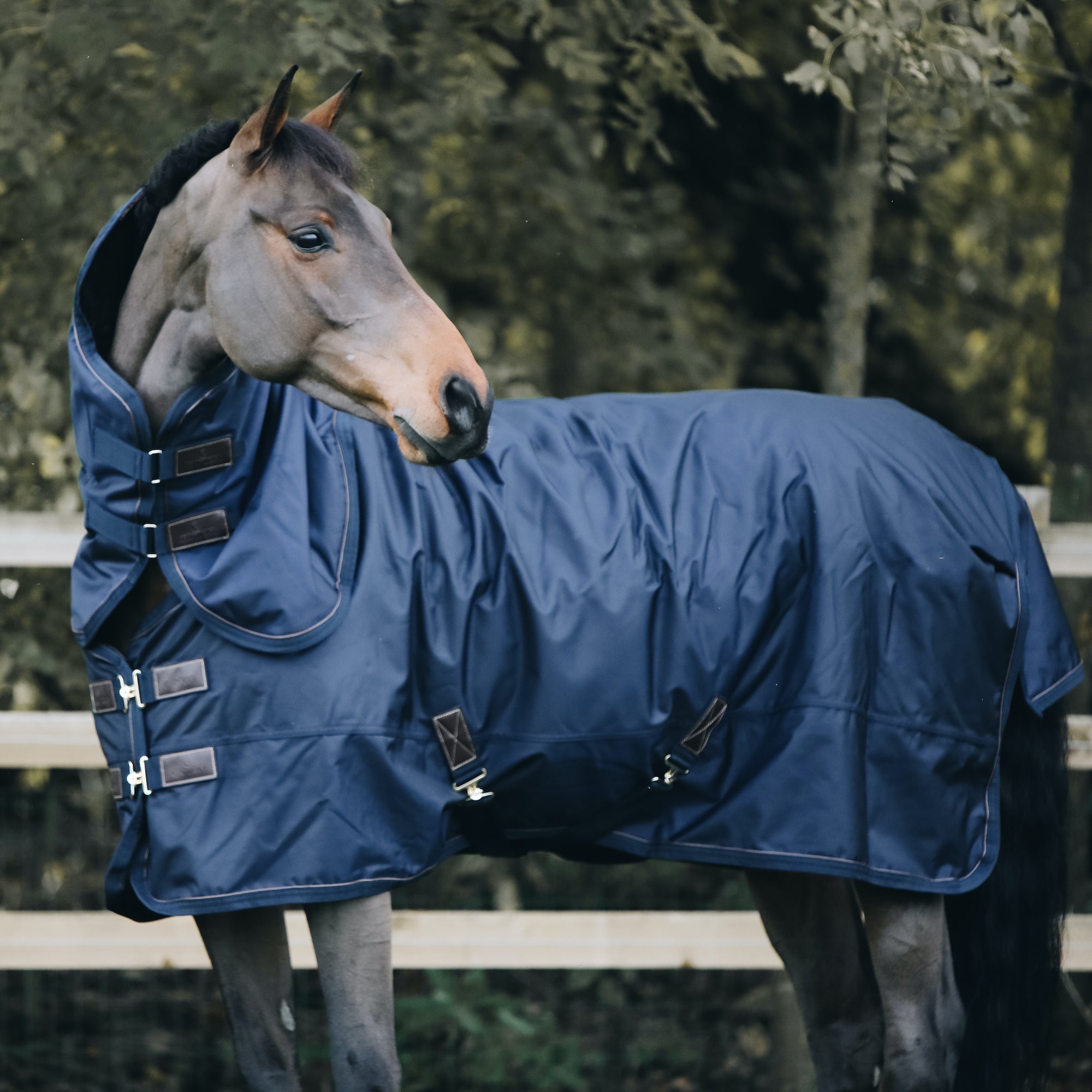 Kentucky Horsewear Neck All Weather Waterproof Pro, Navy