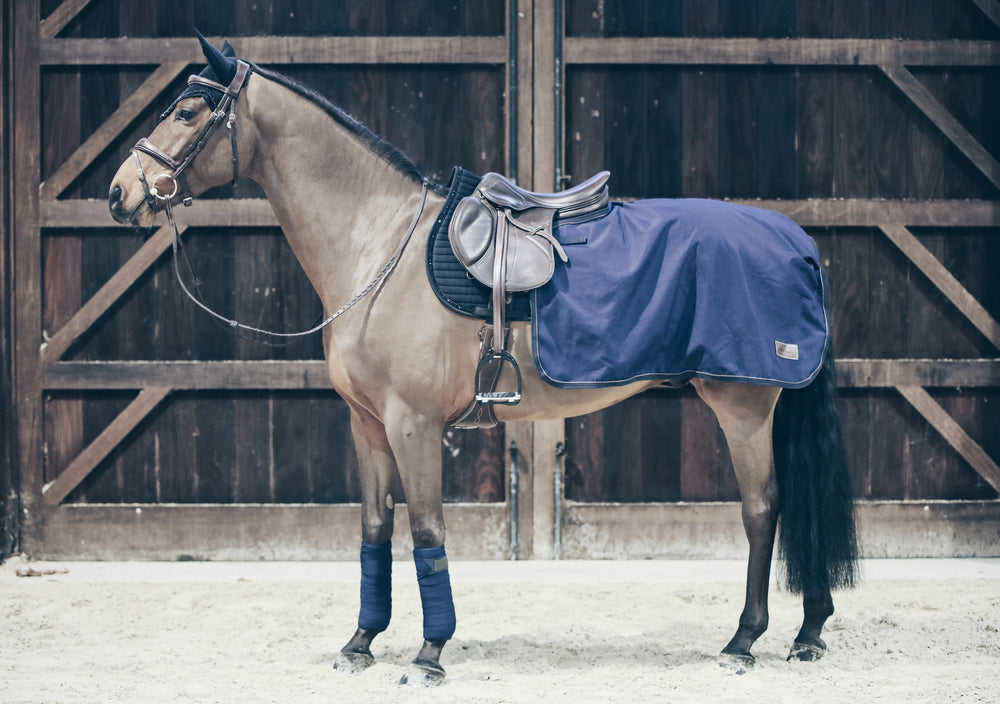 European Equestrian Supplies For Horses – Dapper Horse
