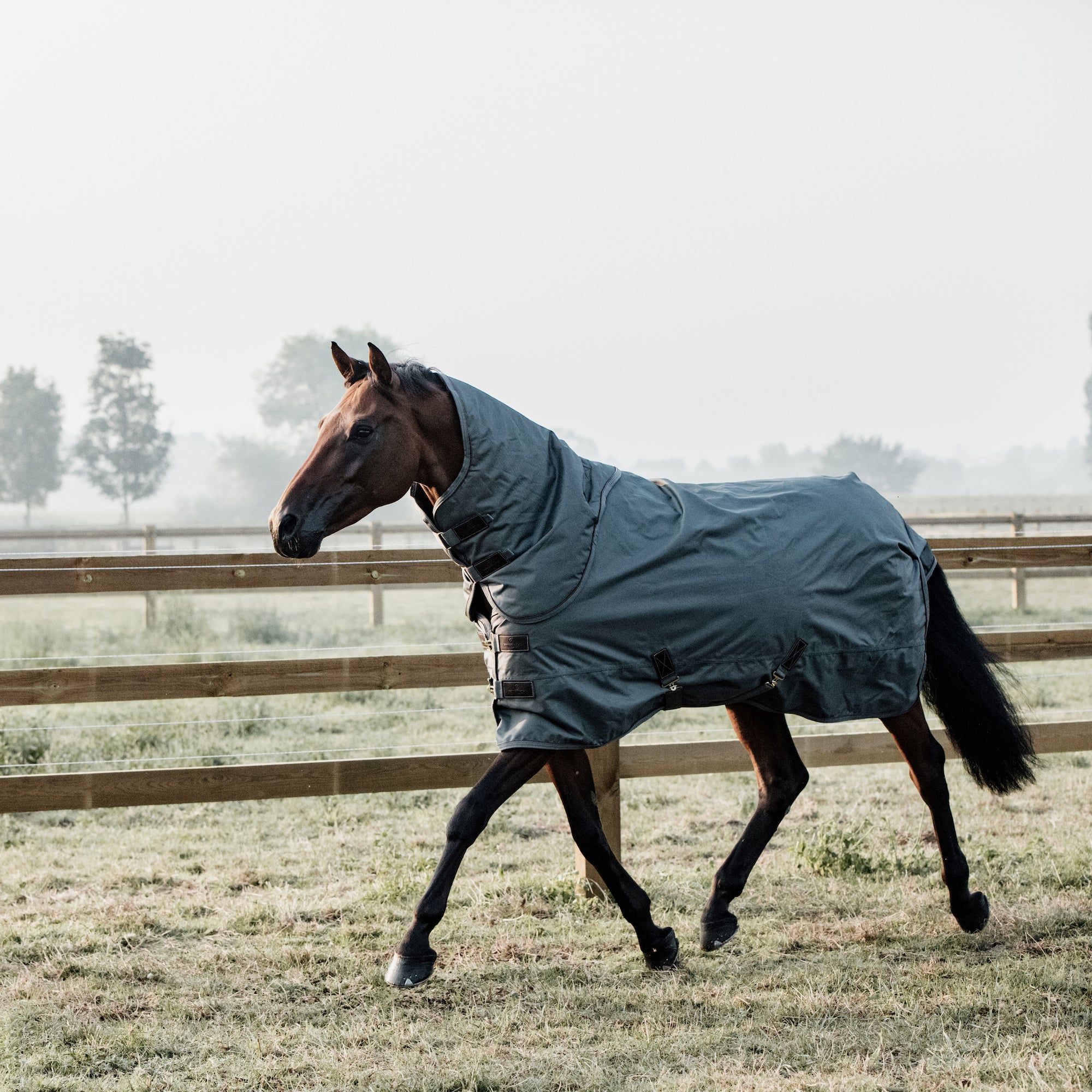 Kentucky Horsewear Turnout Rug All Weather Waterproof Pro 160G, Dark Green