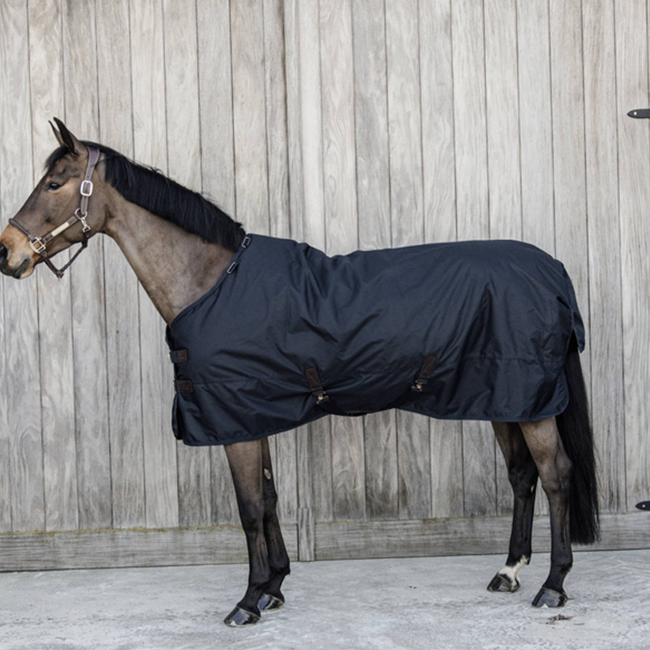 Kentucky Horsewear Turnout Rug All Weather Waterproof Classic 300G
