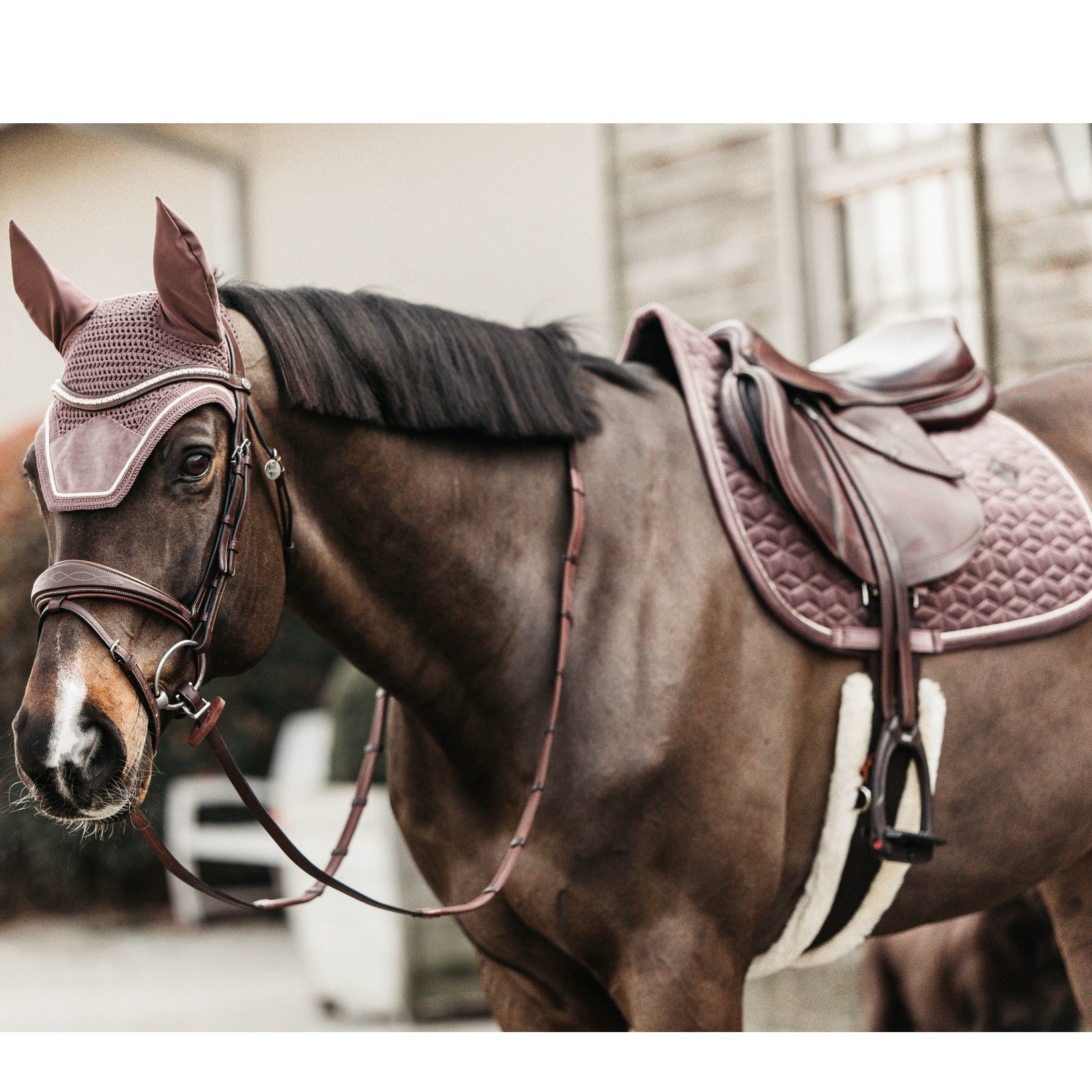 Kentucky Horsewear Saddle Pad Velvet Jumping Light Purple Edition