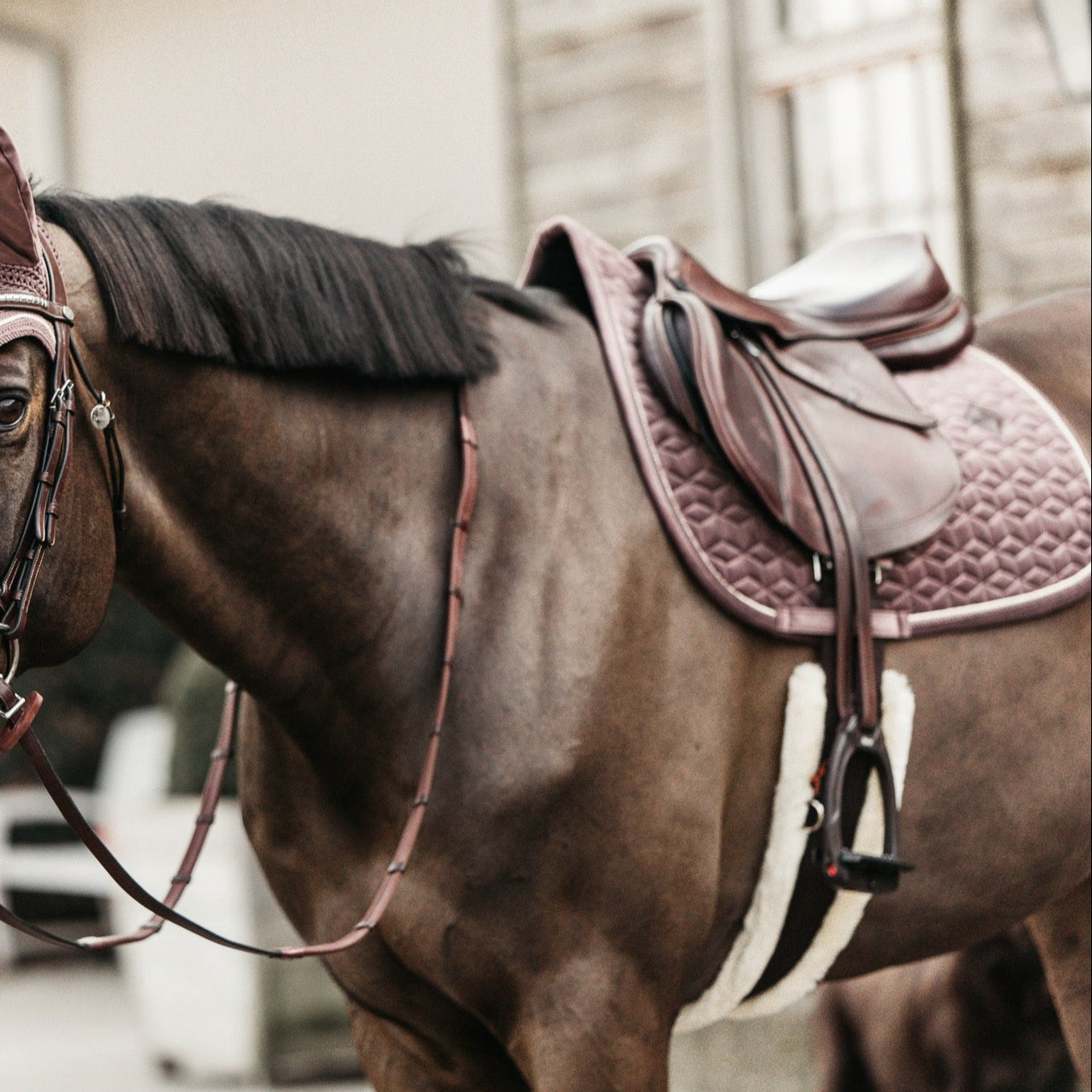 Kentucky Horsewear Saddle Pad Velvet Jumping Light Purple Edition Full