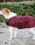 Kentucky Dog Coat, Bordeaux