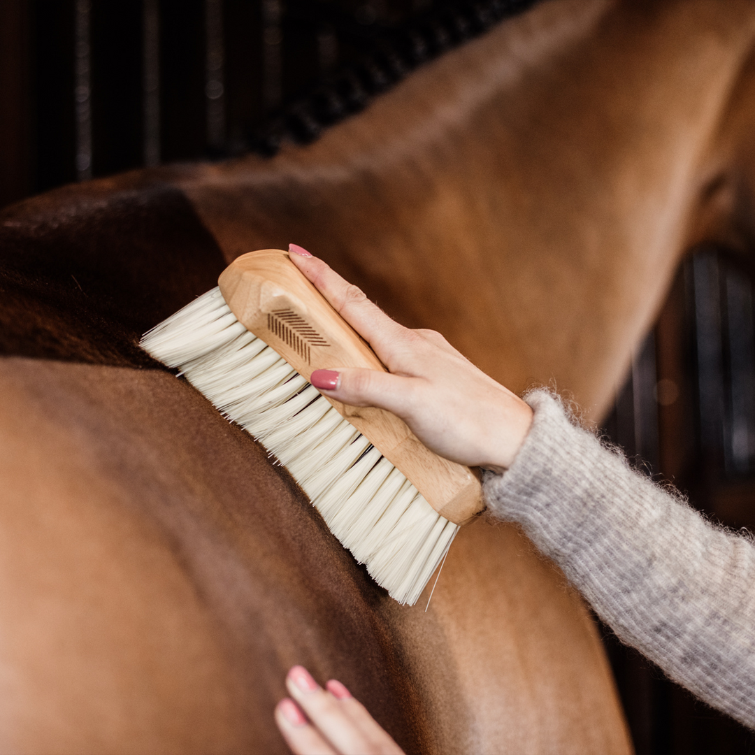 Kentucky Horsewear Body Brush Middle Soft, Brown