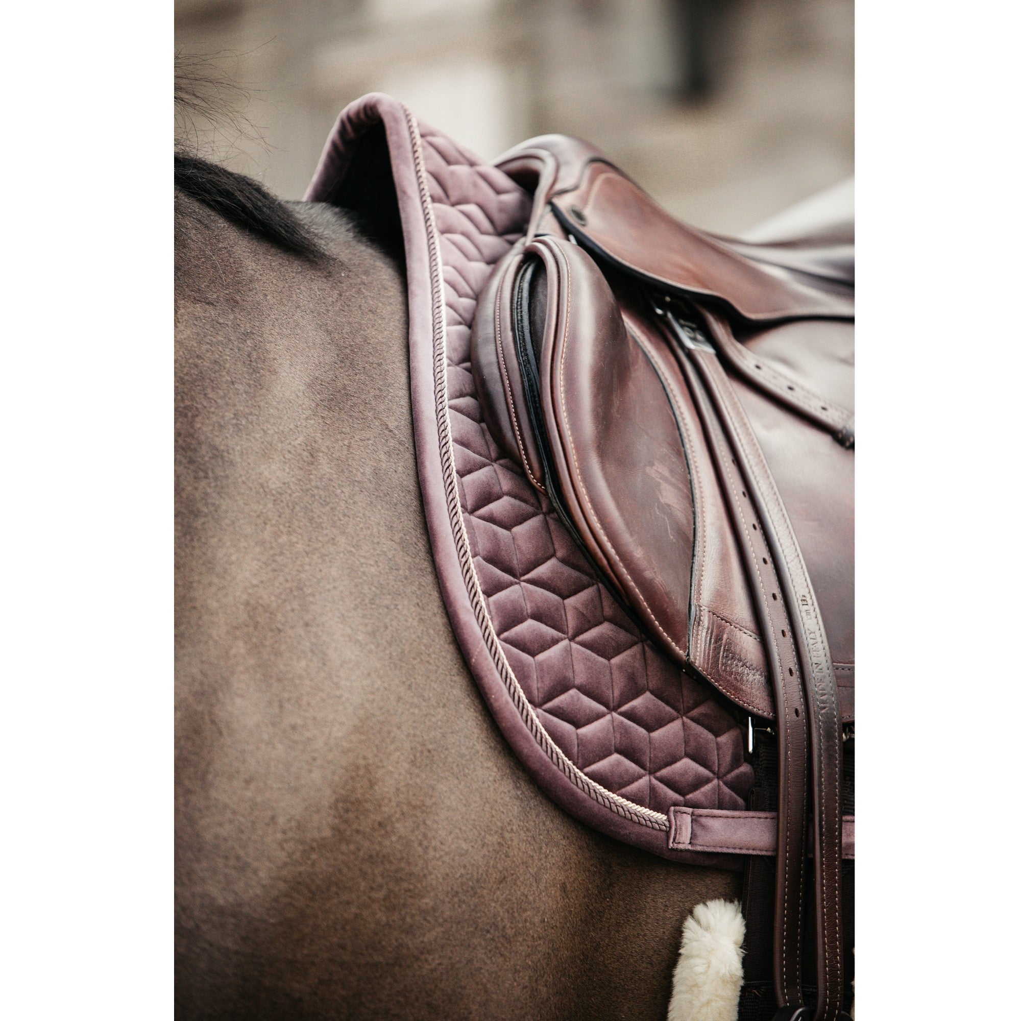 Kentucky Horsewear Saddle Pad Velvet Jumping Light Purple Edition