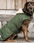 Kentucky Dog Coat Waterproof, Olive Green