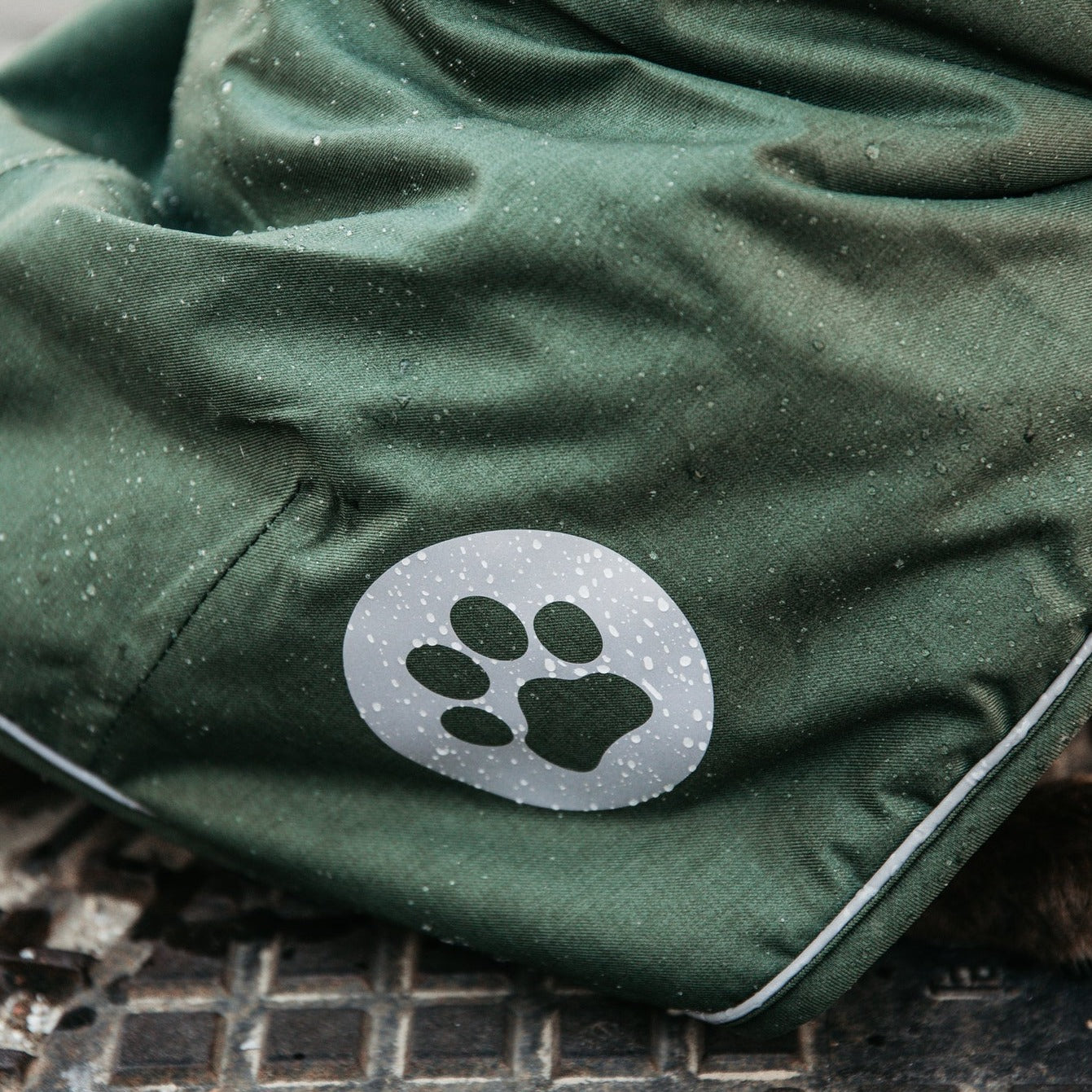 Kentucky Dog Coat Waterproof, Olive Green